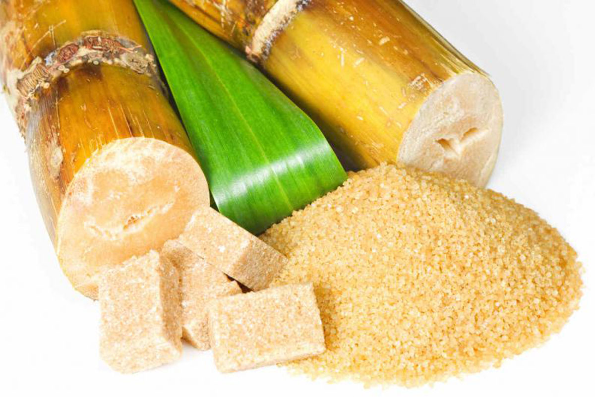 Сахарный тростник содержит 9. Сахарный тростник и тростниковый сахар. Сахарный тростник в Бразилии. Биоэтанол сахарный тростник. Тростниковый сахар Бразилия.